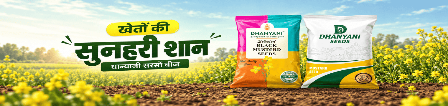 Dhanyani Seeds